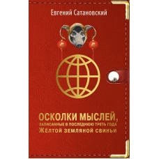 Осколки мыслей, записанные в последнюю треть года Желтой Земляной Свиньи