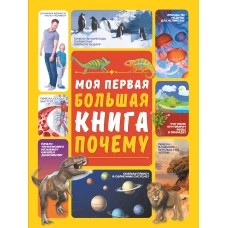 Моя первая большая книга ПОЧЕМУ