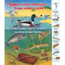 Животные и растения морей и океанов