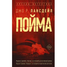 Пойма