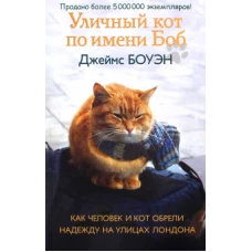 Уличный кот по имени Боб. Как человек и кот обрели надежду на улицах Лондона