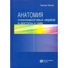 Анатомия спинномозговых нервов и доступы к ним