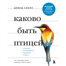 Каково быть птицей: о полетах и гнездовании, кормлении и пении. Как и чем живут самые известные птицы на земле