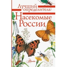 Насекомые России