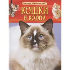 Кошки и котята