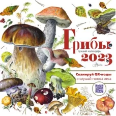 Грибы. Календарь. 2023 год