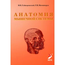 Анатомия мышечной системы (мышцы, фасции и топография): Учебное пособие. 14-е изд., перераб. и доп. Гайворонский И.В., Ничипорук Г.И.