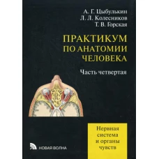 Практикум по анатомии человека: в 4 ч. Ч. 4: Нерная система и органы чувств. Колесников Л.Л., Цыбулькин А.Г., Горская Т.В.