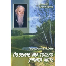 На земле мы только учимся жить: непридуманные рассказы. Валентин (Бирюков), протоиере