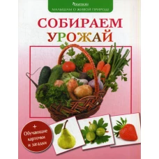 Собираем урожай. Малышам о живой природе. Волцит П.М.