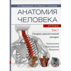 Анатомия человека.  Атлас. В 3 т. Т. 1: Опорно-двигательный аппарат. Остеология. Синдесмология. Миология: Учебное пособие. Крыжановский В.А., Никитюк Д.Б., Клочкова С.В.