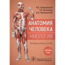 Анатомия человека. Миология. Карточки: наглядное учебное пособие. Гайворонский А.И., Гайворонский И.В., Ничипорук Г.И.