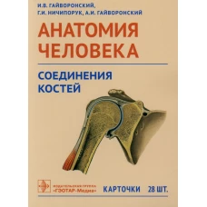 Анатомия человека. Соединения костей. Карточки: наглядное учебное пособие. Гайворонский А.И., Гайворонский И.В., Ничипорук Г.И.