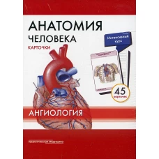 Анатомия человека: Карточки. (45шт). Ангиология. Сапин М.Р., Николенко В.Н., Тимофеева М.О.