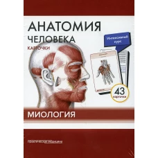 Анатомия человека: карточки (43 шт). Миология: Учебное пособие. Сапин М.Р., Николенко В.Н., Тимофеева М.О.