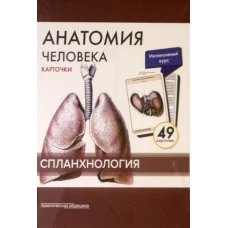 Анатомия человека: карточки. (49 шт). Спланхнология. Сапин М.Р., Николенко В.Н., Тимофеева М.О.