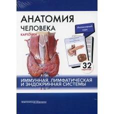 Анатомия человека: карточки. (32 шт). Иммунная, лимфатическая и эндокринная системы. Сапин М.Р., Николенко В.Н., Тимофеева М.О.