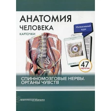 Анатомия человека: карточки. (47 шт). Спинномозговые нервы. Органы чувств. Сапин М.Р., Николенко В.Н., Тимофеева М.О.