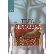 Тело человека