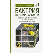 Бактрия. Прекрасная Бахди. История и культура от эпохи поздней бронзы до падения Ахеменидов