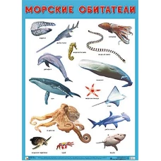 Развивающие плакаты. Морские обитатели