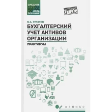 Бухгалтерский учет активов организации: практикум