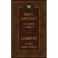 Наедине с собой. В чем наше благо?