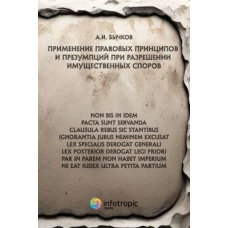 Применение правовых принципов и презумпций при разрешении имущественных споров