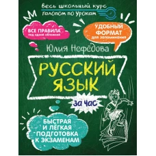 Русский язык за час