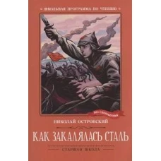 Как закалялась сталь: роман