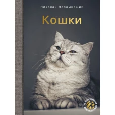 Кошки