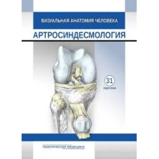 Визуальная анатомия человека. Артросиндесмология: Учебное пособие (карточеки. 31 шт.) )