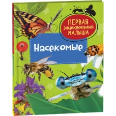 Нью-йоркский бомж