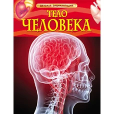 Тело человека