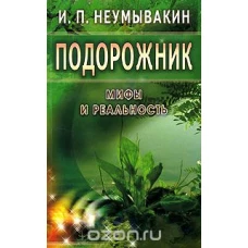 Подорожник.Мифы и реальность